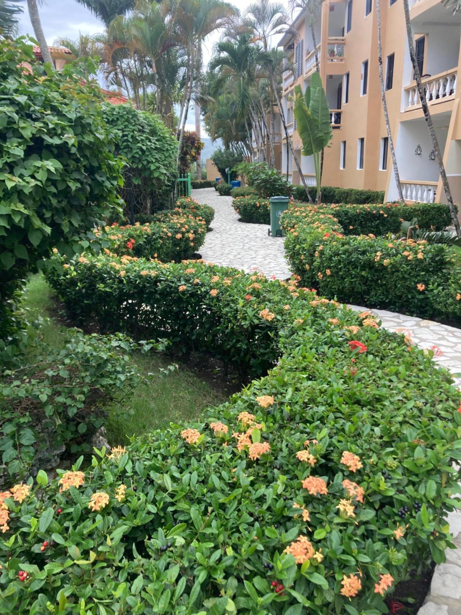 Cita Del Sol City Apartments Cabarete Exterior foto